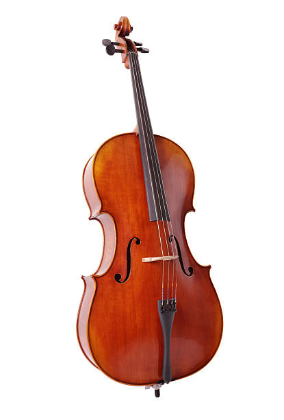 La contrebasse est un instrument grave de la famille des instruments à cordes.